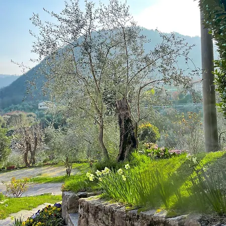 Breva Loft Tra Gli Ulivi Ed Il *