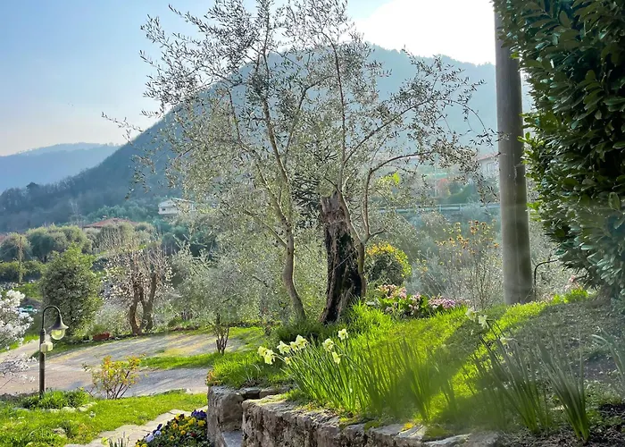 Breva, Loft Tra Gli Ulivi Ed Il *